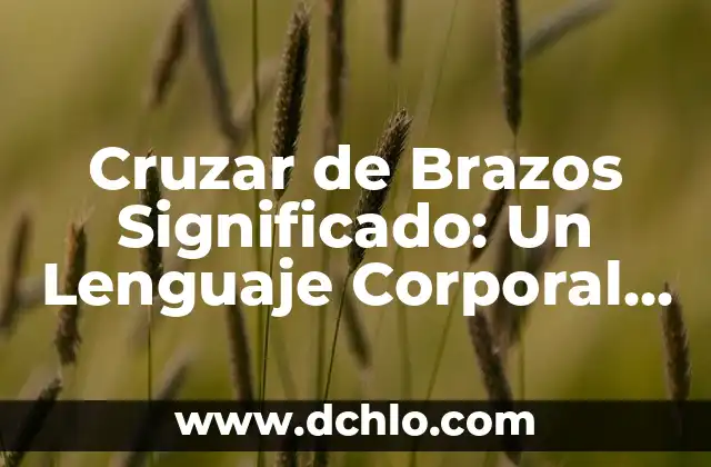 El Triángulo de Reciclaje: Un Símbolo Universal 4 Cruzar de Brazos Significado: Un Lenguaje Corporal Universal