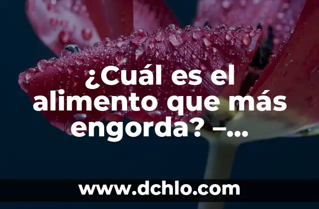 ¿Cuál es el alimento que más engorda? - Descubre la respuesta