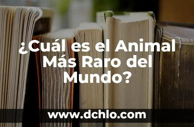 ¿Cuál es la Ciudad más Fría de España? 3 ¿Cuál es el Animal Más Raro del Mundo?
