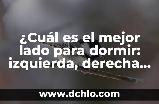 ¿Cuál es el alimento que más engorda? - Descubre la respuesta 3 ¿Cuál es el mejor lado para dormir: izquierda, derecha o espalda?