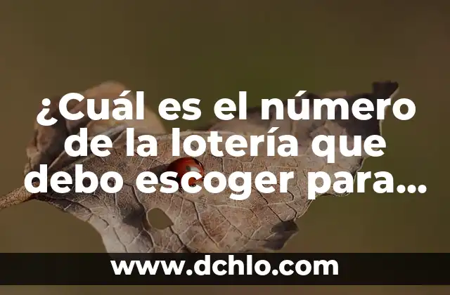 Dolor en el Pecho al Respirar Profundo: ¿Cuál es la Causa? 8 ¿Cuál es el número de la lotería que debo escoger para ganar?