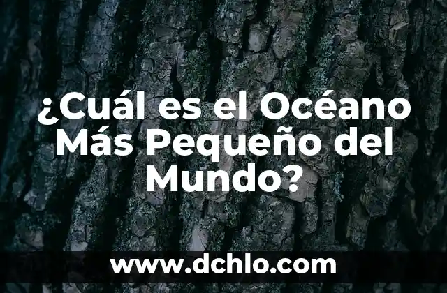 Dolor en el Pecho al Respirar Profundo: ¿Cuál es la Causa? 3 ¿Cuál es el Océano Más Pequeño del Mundo?