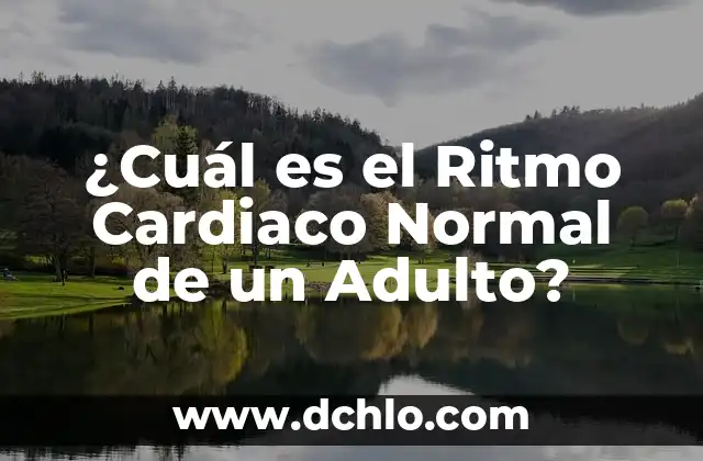 Cómo Bajar la Fiebre a un Adulto: Guía Completa y Segura 6 ¿Cuál es el Ritmo Cardiaco Normal de un Adulto?