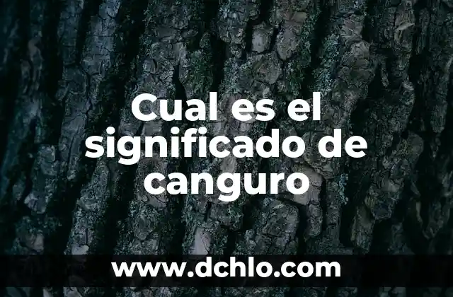 Esto no es Suecia: donde ver la serie en línea y en TV 6 Cual es el significado de canguro