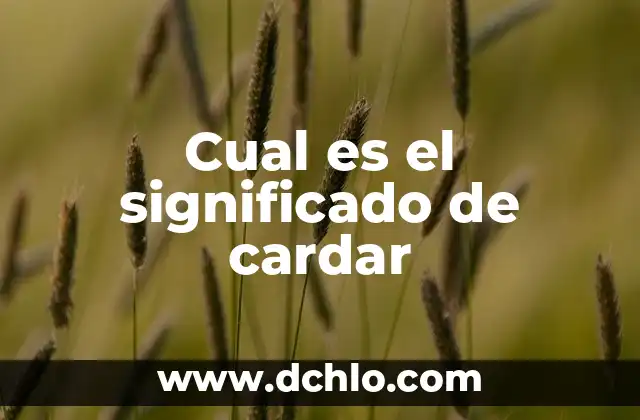 Esto no es Suecia: donde ver la serie en línea y en TV 3 Cual es el significado de cardar