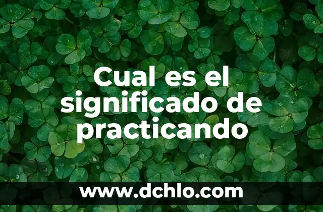 Espada de Simón Bolívar significado 3 Cual es el significado de practicando