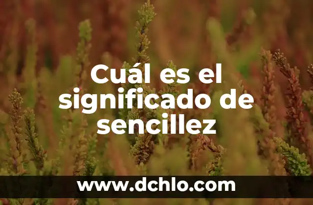 Significado de Escueto: Un Concepto de Sencillez y Limitación 6 Cuál es el significado de sencillez