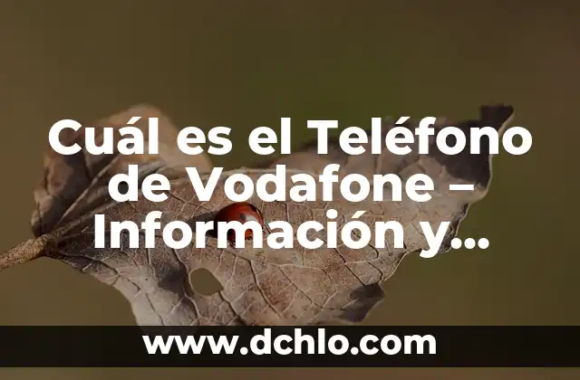 Teléfono de Atención al Cliente de Vodafone España 5 Cuál es el Teléfono de Vodafone – Información y Servicio al Cliente