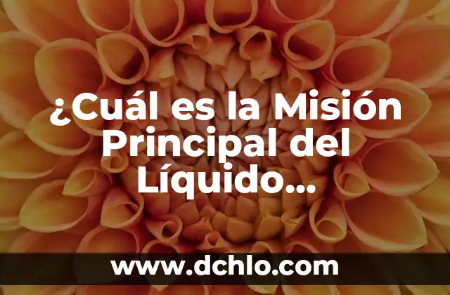 La Misión de la Catequista: Un Rol Fundamental en la Educación Religiosa 7 ¿Cuál es la Misión Principal del Líquido Refrigerante en un Sistema de Enfriamiento?