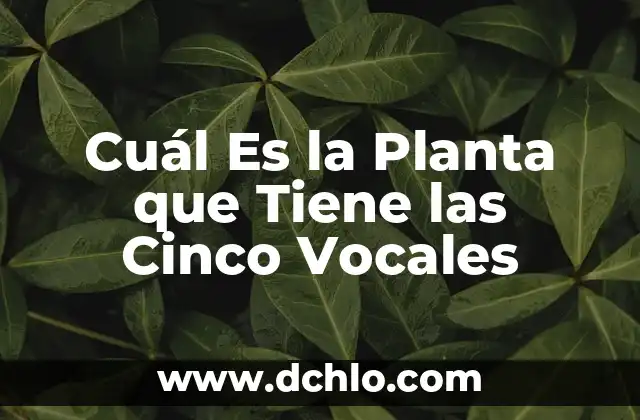 ¿Cuál es el alimento que más engorda? - Descubre la respuesta 6 Cuál Es la Planta que Tiene las Cinco Vocales