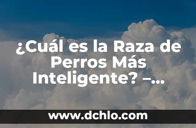 ¿Qué canción sonaba cuando naciste en España? Descubre la respuesta 7 ¿Cuál es la Raza de Perros Más Inteligente? – Descubre la Respuesta