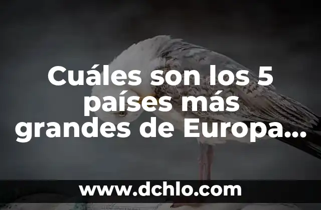 ¿Por qué el Osasuna no va a Europa? Análisis detallado 7 Cuáles son los 5 países más grandes de Europa por superficie
