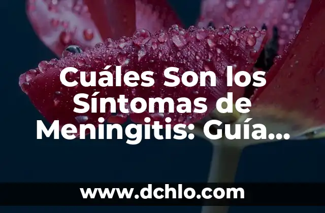 Programación de Televisión de Esta Noche: Guía Completa y Actualizada 6 Cuáles Son los Síntomas de Meningitis: Guía Completa y Actualizada