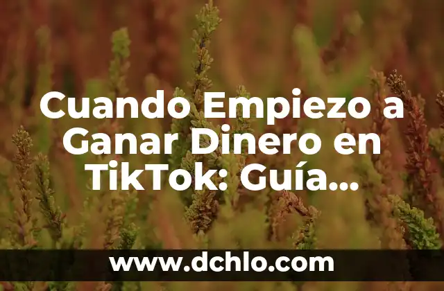 Cómo Dejar de Seguir en TikTok: Una Guía Completa 3 Cuando Empiezo a Ganar Dinero en TikTok: Guía Definitiva