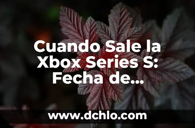Mejores Series para Ver en Amazon Prime: Descubre tus Nuevas Favoritas 3 Cuando Sale la Xbox Series S: Fecha de Lanzamiento y Características
