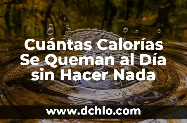 Cómo Hacer Listas Desplegables en Excel: Guía Completa 4 Cuántas Calorías Se Queman al Día sin Hacer Nada