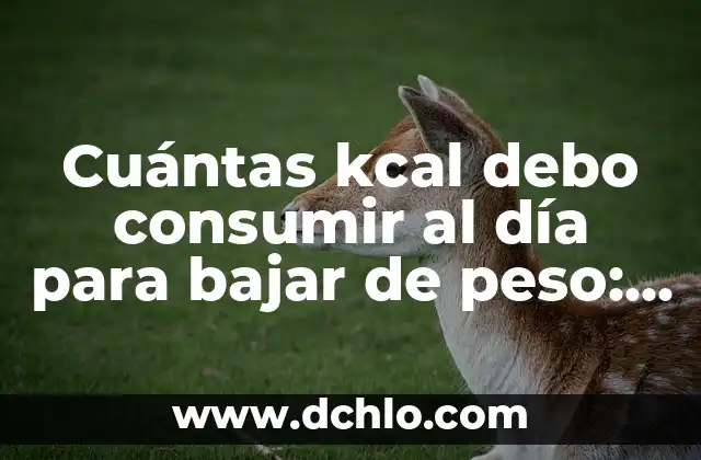 Cuántas Calorías Debo Consumir al Día para Perder Peso 4 Cuántas kcal debo consumir al día para bajar de peso: Una guía detallada