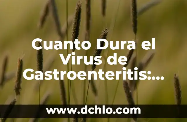 ¿Cuánto Dura la Reserva de un Coche Online? 6 Cuanto Dura el Virus de Gastroenteritis: ¿Cuánto Tiempo Dura la Enfermedad?