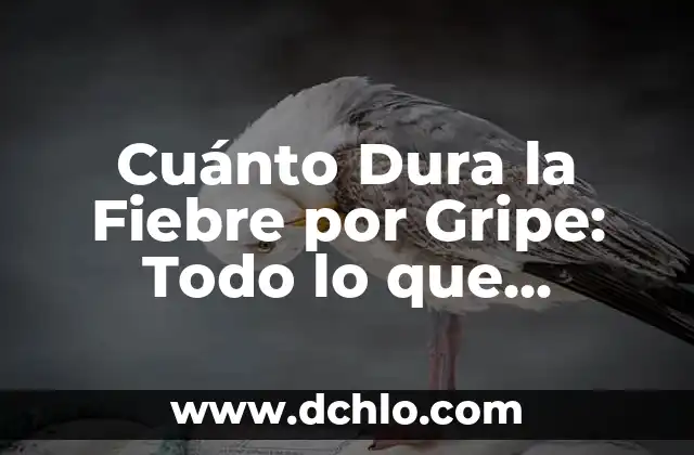 ¿Cuánto Dura la Reserva de un Coche Online? 4 Cuánto Dura la Fiebre por Gripe: Todo lo que Necesitas Saber