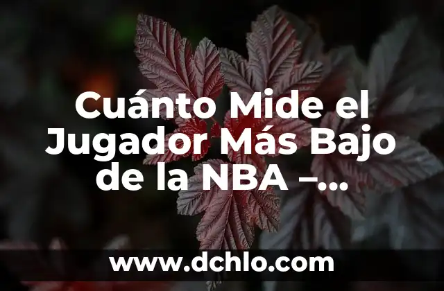 ¿Quién es el Mejor Jugador del Mundo de Fútbol? 8 Cuánto Mide el Jugador Más Bajo de la NBA – Descubre la Verdad