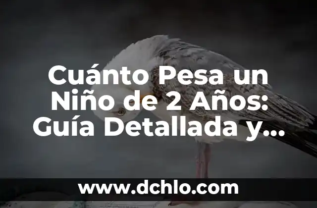 Cuánto Pesa un Niño de 2 Años: Guía Detallada y Actualizada