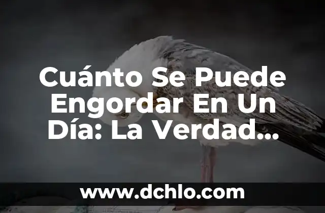 Como hacer dinero de verdad en internet 5 Cuánto Se Puede Engordar En Un Día: La Verdad Sobre El Ganancia De Peso