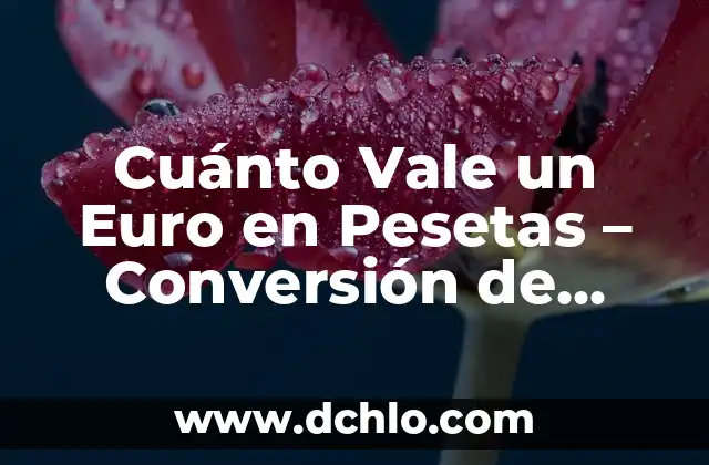 ¿A Cuánto Esta el Cambio de Euro a Dólar? - Tasas de Cambio en Tiempo Real 7 Cuánto Vale un Euro en Pesetas – Conversión de Moneda Exacta