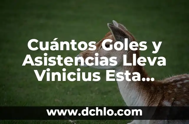 ¿Cuándo Sale la 5 Temporada de Stranger Things? (Exacta) 4 Cuántos Goles y Asistencias Lleva Vinicius Esta Temporada – Actualización en vivo