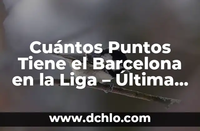 Como queda la clasificación de la Liga Santander 4 Cuántos Puntos Tiene el Barcelona en la Liga – Última Actualización