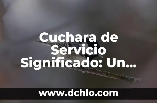 Acerar: El proceso esencial para endurecer metales 4 Cuchara de Servicio Significado: Un Utensilio Esencial en la Mesa
