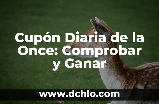 Dieta para Ganar Masa Muscular Mujer: Guía Completa y Efectiva 5 Cupón Diaria de la Once: Comprobar y Ganar