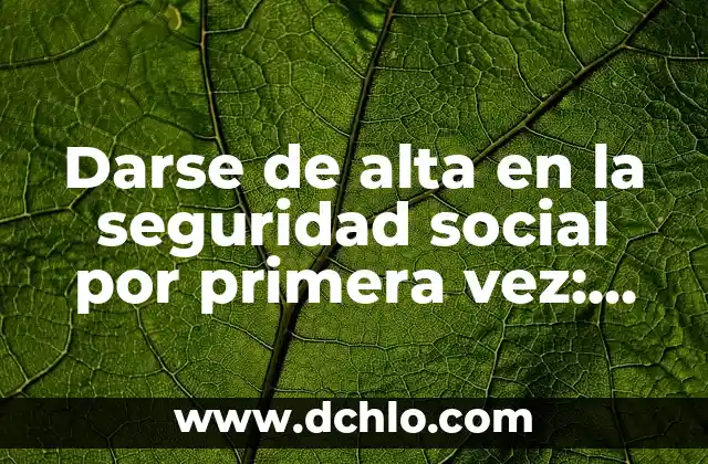 Darse de Baja Significado: Una Guía Completa 5 Darse de alta en la seguridad social por primera vez: Guía completa