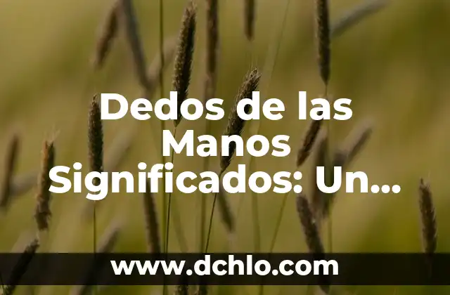 Variantes de un cuento: Un viaje a través de diferentes significados 5 Dedos de las Manos Significados: Un Viaje a través de su Simbolismo