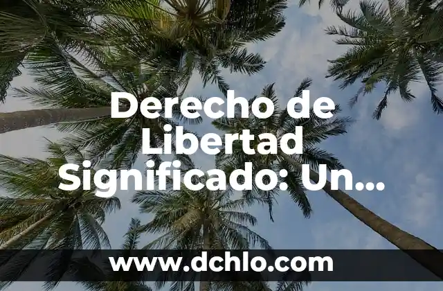 Tipos de significados de libertad: Un viaje a través de sus múltiples facetas 6 Derecho de Libertad Significado: Un Concepto Fundamental