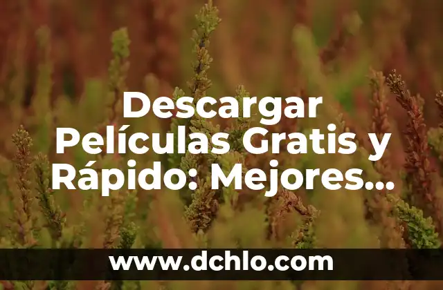 Películas para Ver en Parejas en Netflix: Las Mejores Opciones 5 Descargar Películas Gratis y Rápido: Mejores Aplicaciones