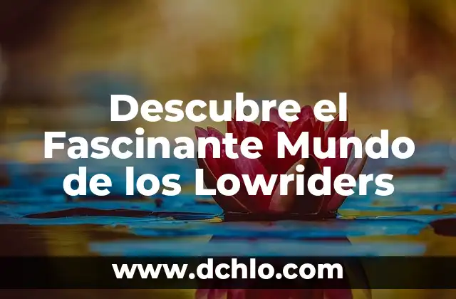 El Fascinante Mundo de las Microesferas 6 Descubre el Fascinante Mundo de los Lowriders