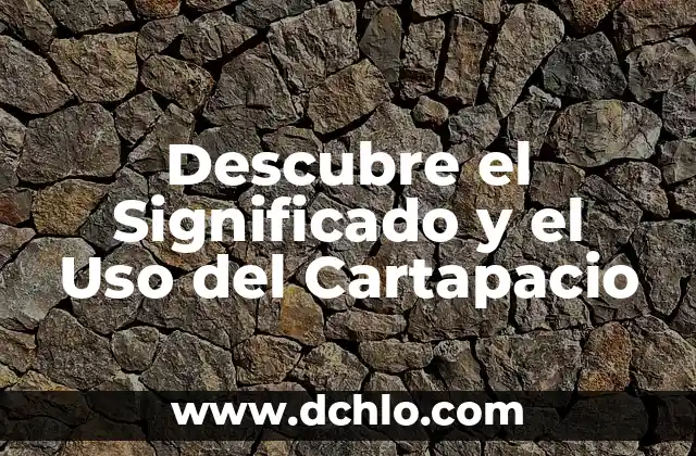 Significado y Uso de Batons 5 Descubre el Significado y el Uso del Cartapacio