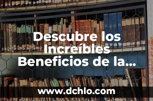 ¿Qué es la Curcuma y Para Qué se Usa? - Propiedades y Beneficios 4 Descubre los Increíbles Beneficios de la Cúrcuma en el Cuerpo