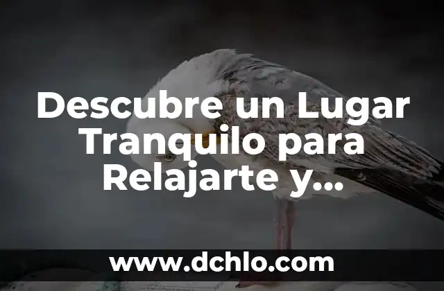 Cómo Limpiar Tu Casa de Malas Energías: Guía Práctica y Espiritual 8 Descubre un Lugar Tranquilo para Relajarte y Recargar Energías