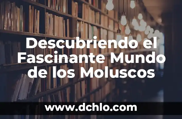 El Fascinante Mundo de las Microesferas 4 Descubriendo el Fascinante Mundo de los Moluscos