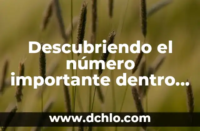 Descubriendo el significado en chino de fiewqewwa 5 Descubriendo el número importante dentro de 10504