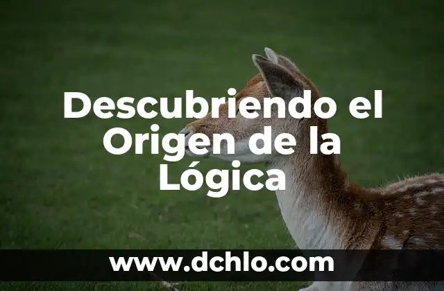 Hocico Significado de la Palabra - Descubre su Origen y Usos 5 Descubriendo el Origen de la Lógica