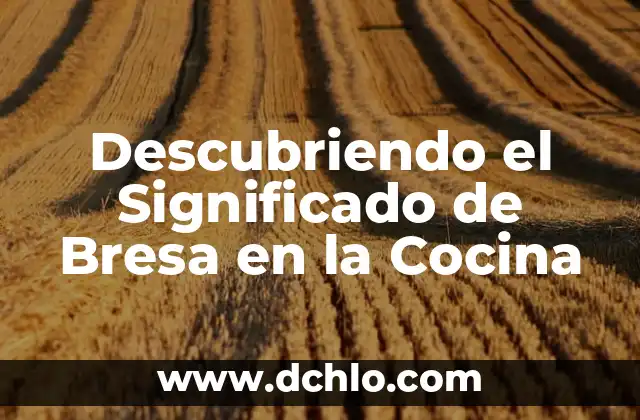 Significado en Cocina de Cornet - Todo Sobre su Uso y Versatilidad 8 Descubriendo el Significado de Bresa en la Cocina