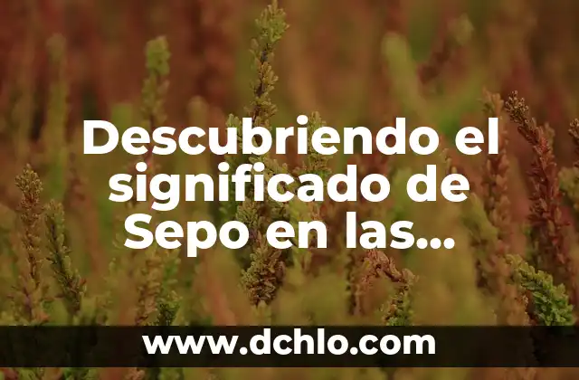 El Simbolismo de la Estatua de Nabucodonosor en las Escrituras 3 Descubriendo el significado de Sepo en las Escrituras