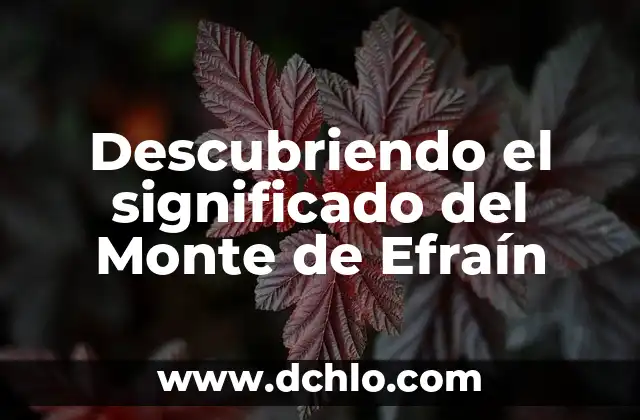 Descubriendo el significado del Monte de Efraín