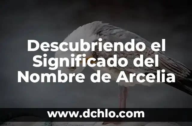 El Origen y Significado del Nombre Michelle 7 Descubriendo el Significado del Nombre de Arcelia