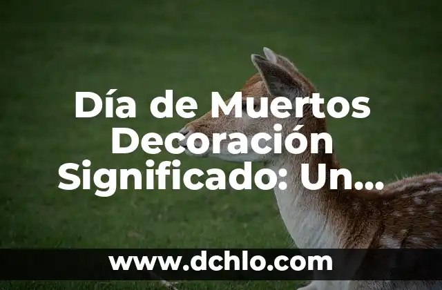 El Disfraz de Charro Negro: Un Icono Cultural 6 Día de Muertos Decoración Significado: Un Viaje Cultural y Emocional