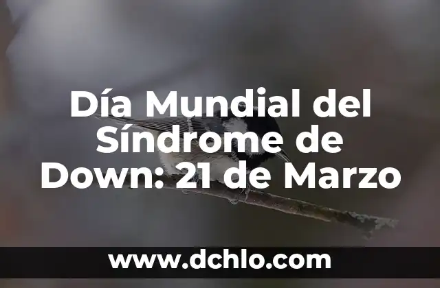 Cómo se escribe síndrome de Down: Guía completa y detallada 6 Día Mundial del Síndrome de Down: 21 de Marzo