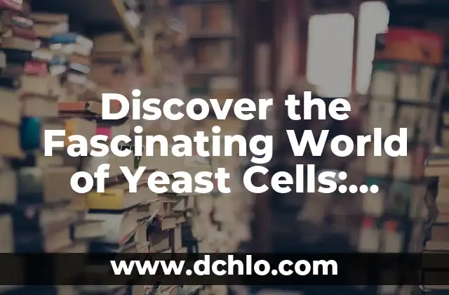 Exploring the Meanings of Words: Denotative and Connotative Significance 3 Discover the Fascinating World of Yeast Cells: Meaning and Functions