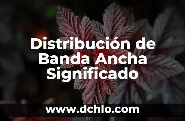Internet de Banda Ancha: Conectando un Mundo Digital 7 Distribución de Banda Ancha Significado